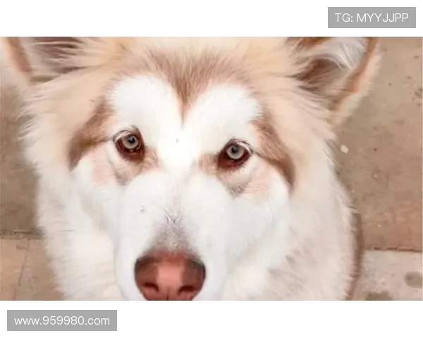 椹柉鍒囨媺璇猴細38 宀佹瑗夸粛璁╃悆杩蜂负浠栦拱鍗曪紝杩欏氨鏄冻鐞冪殑姘告亽淇′话